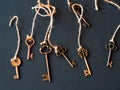 A bunch of different old keys from different locks. Finding the right key, encryption, concept.
