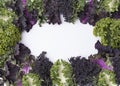 Bunch of different varieties of curly kale in a white background Royalty Free Stock Photo