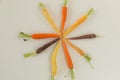 Bunch of differently coloured heritage carrots Royalty Free Stock Photo