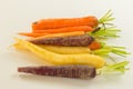 Bunch of differently coloured heritage carrots Royalty Free Stock Photo