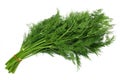 Bunch dill Royalty Free Stock Photo