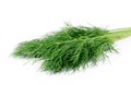 Bunch dill herb on a white background Royalty Free Stock Photo