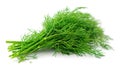 a bunch of dill isolated on white background