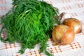 Bunch of dill, two onion and garlic on table Royalty Free Stock Photo