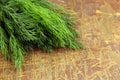 Bunch of dill on wooden background