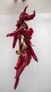 Dried Chillis hanging on a white background Royalty Free Stock Photo