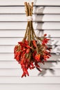 Bunch of dried chilli peppers hanging in sun