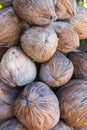 A bunch of dried coconuts Royalty Free Stock Photo