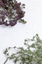 A bunch of dried grass. Thyme garden. Against the background of white wall with decorative plaster