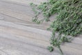 A bunch of dried grass. Thyme garden