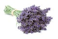 Bunch of dried Lavender Royalty Free Stock Photo