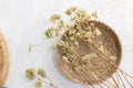 Bunch of dried oregano Royalty Free Stock Photo