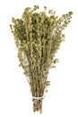 Bunch of Dried Oregano Tied with String Isolated Top View Royalty Free Stock Photo