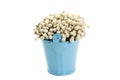 A Bunch dried white Eriocaulon henryanum Ruhle on blue bucket