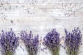 Bunch of dry lavender flowers on rustic background top view mock up Royalty Free Stock Photo
