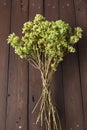 Bunch of dry oregano on wooden table