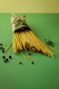 Bunch of dry spaghetti pasta with fresh spices, herbs and peppers isolated on deep green studio background Royalty Free Stock Photo