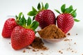 Bunch of dry strawberries and powder on white background Royalty Free Stock Photo