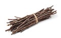 Bunch of  of dry twigs Royalty Free Stock Photo