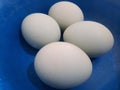 A bunch of duck eggs in a bowl Royalty Free Stock Photo