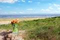 Bunch of Dutch tulips on dune sand