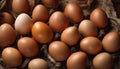 A bunch of eggs are sitting on a table Royalty Free Stock Photo