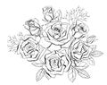 Bunch with elegant monochrome roses. Black and white objects isolated