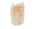 Bunch of enoki mushrooms.