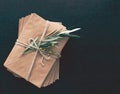 Bunch of  envelopes and olive branch. Royalty Free Stock Photo