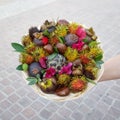 Bunch of exotic fruits such as rambutan, mangosteen, chestnut in a woman hand