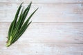 A bunch of feathers of fresh spicy spring green onions on a light wooden background. Royalty Free Stock Photo