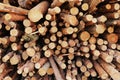 Bunch of felled trees near a logging site. selective focus