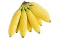 A bunch of few ripe natural yellow bananas isolated on a white background Royalty Free Stock Photo