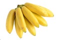 A bunch of few ripe natural yellow bananas isolated on a white background Royalty Free Stock Photo