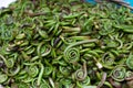 Bunch of Fiddleheads at Farmer's Market Royalty Free Stock Photo