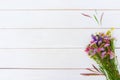 Bunch of field flowers on white background, void Royalty Free Stock Photo