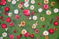 a bunch of flowers are floating on a green surface Royalty Free Stock Photo