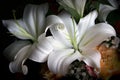Bunch of flowers with lilies lilium, roses and baby`s breath