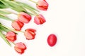 Bunch of flowers near Easter egg. Bouquet of spring tulips Royalty Free Stock Photo