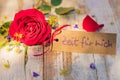 Card with german text, Zeit fuer mich, means time for me and romantic red rose flower for Mothers Day or Valentines Day Royalty Free Stock Photo