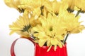 Bunch of flowers in the watering pot isolated on white Royalty Free Stock Photo