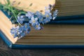 Bunch of forget-me-nots flowers and very old book