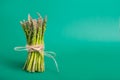 Bunch of fresh asparagus standing on green background. Vegetarian and vegan diet. Veganism. Sustainable lifestyle, plant-based