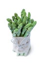 Bunch of fresh asparagus Royalty Free Stock Photo