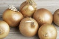 Sweet Southern Onions On A White Panel Board Royalty Free Stock Photo