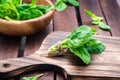 A bunch of fresh baby spinach leaves on a cutting board and spinach leaves in a bowl on a wooden table Royalty Free Stock Photo