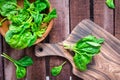 A bunch of fresh baby spinach leaves on a cutting board and spinach leaves in a bowl on a wooden table Royalty Free Stock Photo