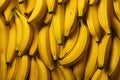 Bunch of fresh bananas for sale at a market stall Royalty Free Stock Photo