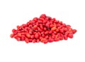 Bunch fresh barberry Royalty Free Stock Photo