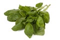 Bunch of fresh basil leaves isolated on white background Royalty Free Stock Photo